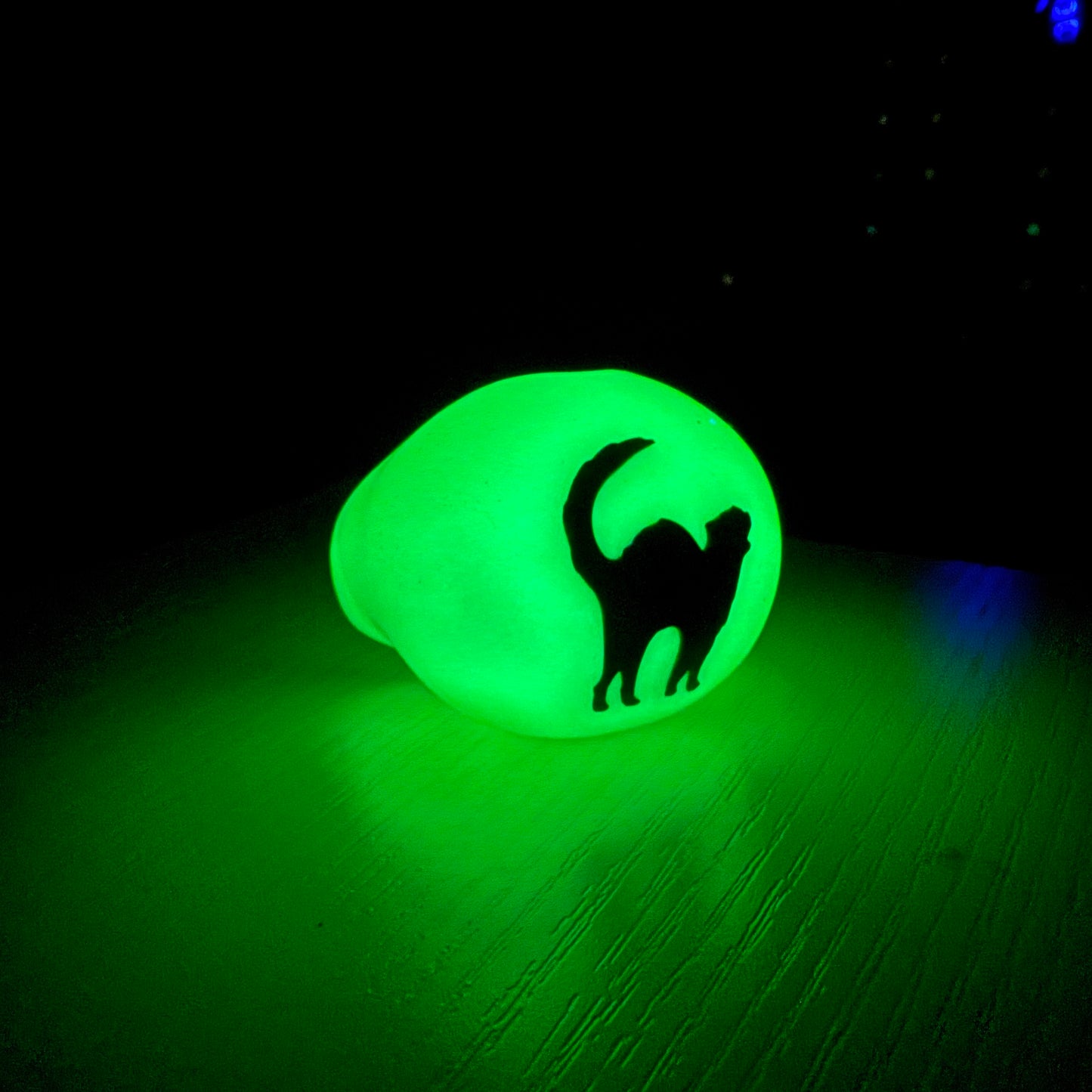 Scaredy Cat Glow in the Dark
